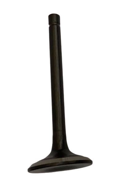 GE75006-SP-14-23 GENERATOR - VALVE EXHAUST