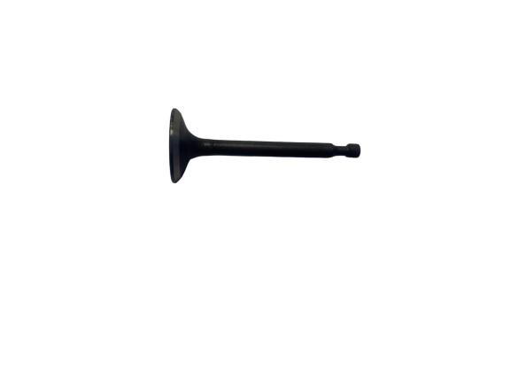 GE35006-SP-10-21 GENERATOR VALVE EXHAUST