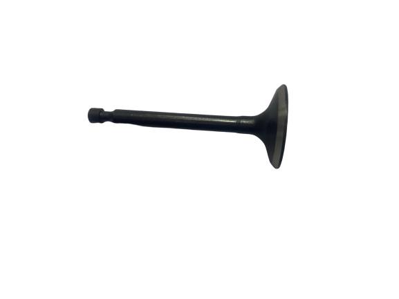 GE35006-SP-10-20 GENERATOR VALVE,IN